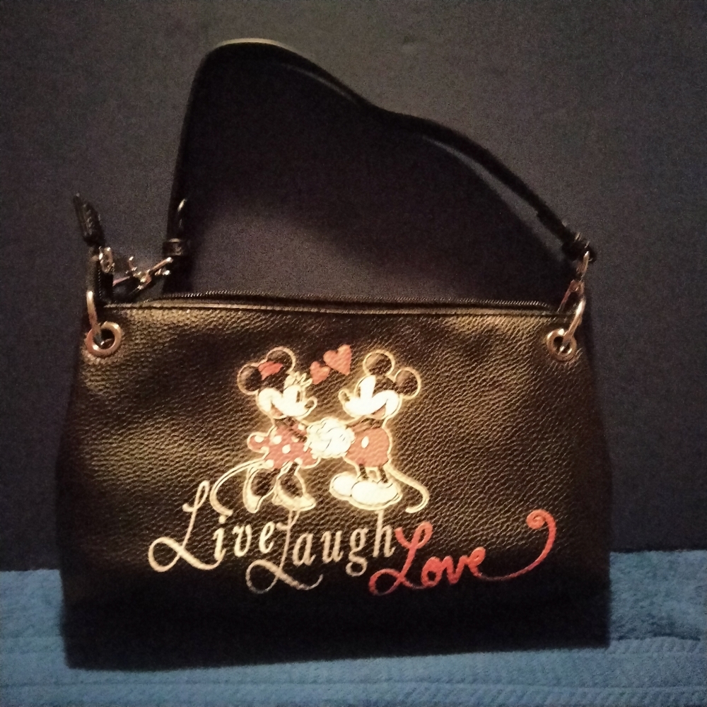 The Bradford Exchange Disney purse.